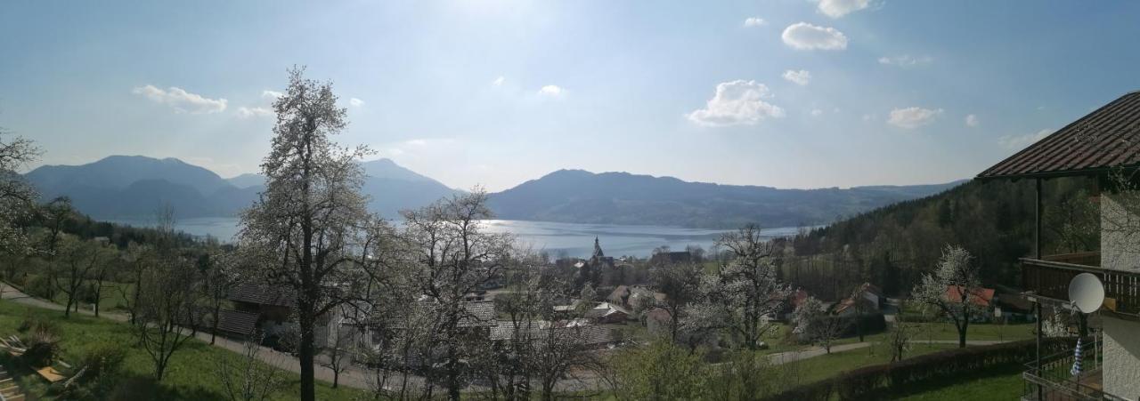 Attersee-Chalet Angermann Familie Spalt Штайнбах-ам-Аттерзее Экстерьер фото