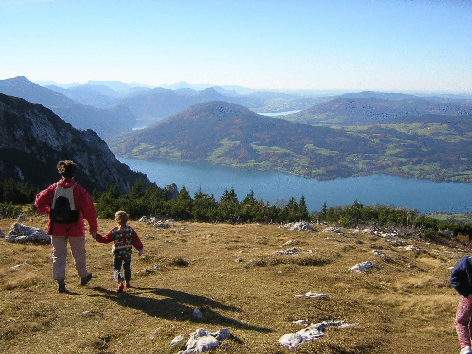 Апартаменты Attersee-Chalet Angermann Familie Spalt Штайнбах-ам-Аттерзее Экстерьер фото