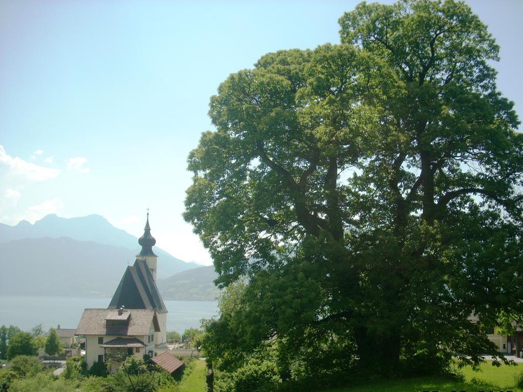 Attersee-Chalet Angermann Familie Spalt Штайнбах-ам-Аттерзее Экстерьер фото