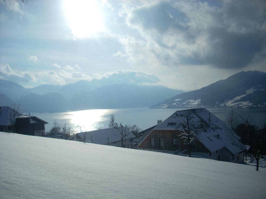 Апартаменты Attersee-Chalet Angermann Familie Spalt Штайнбах-ам-Аттерзее Экстерьер фото