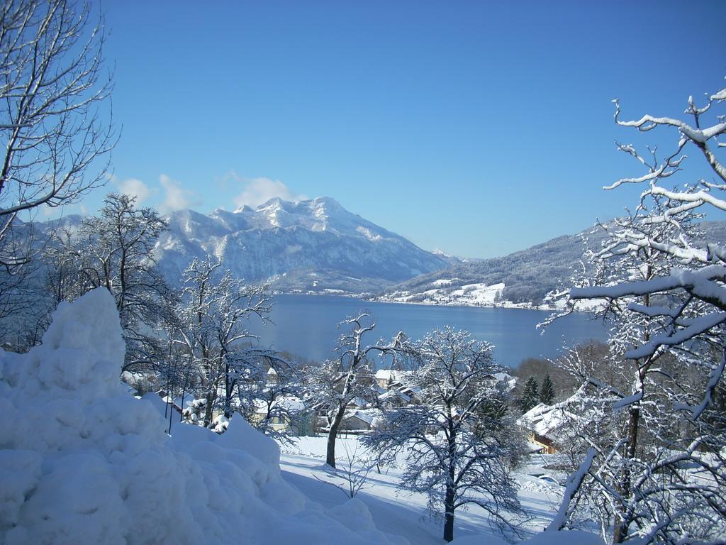 Апартаменты Attersee-Chalet Angermann Familie Spalt Штайнбах-ам-Аттерзее Экстерьер фото