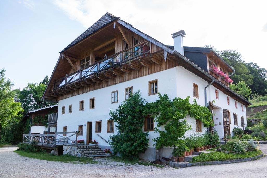 Апартаменты Attersee-Chalet Angermann Familie Spalt Штайнбах-ам-Аттерзее Экстерьер фото